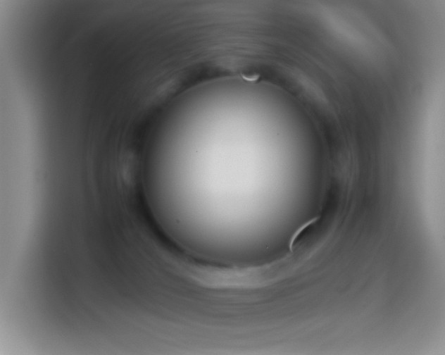 X0000113870036200910011121