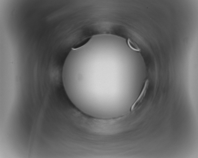 X0000113870037200910011121