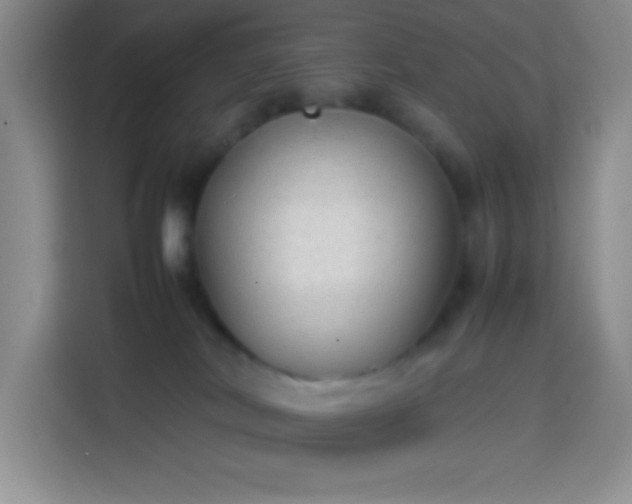 X0000113870038200910011121