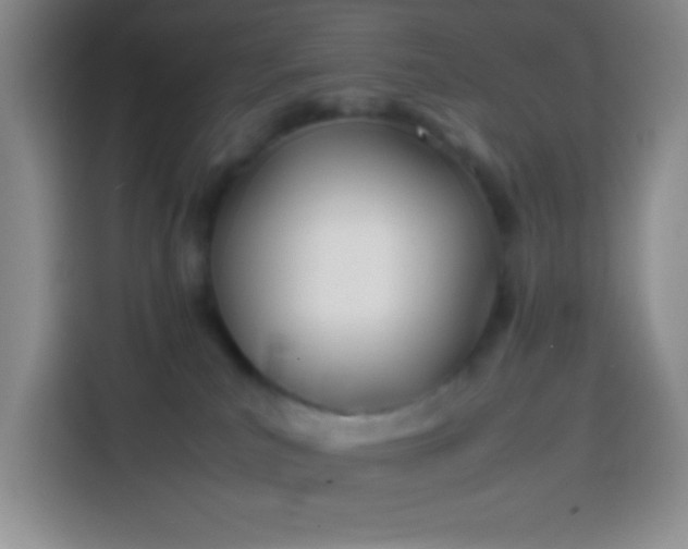 X0000113870039200910011121