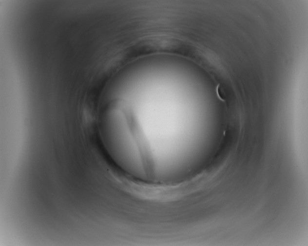 X0000113870040200910011121