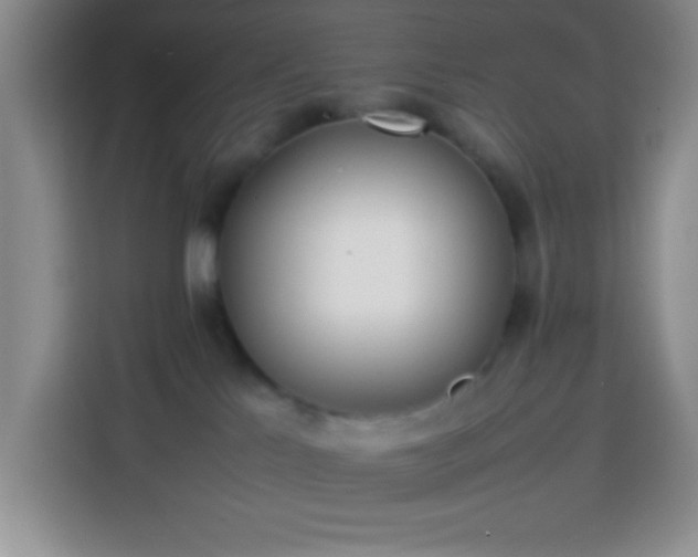 X0000113870041200910011121