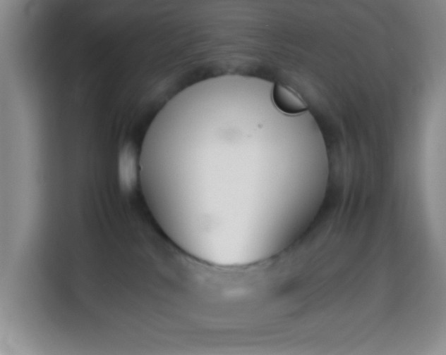 X0000113870042200910011121