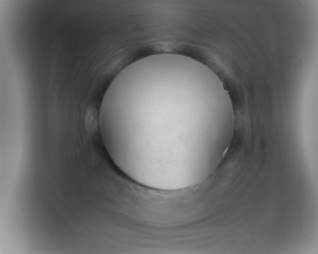 X0000113870043200910011121