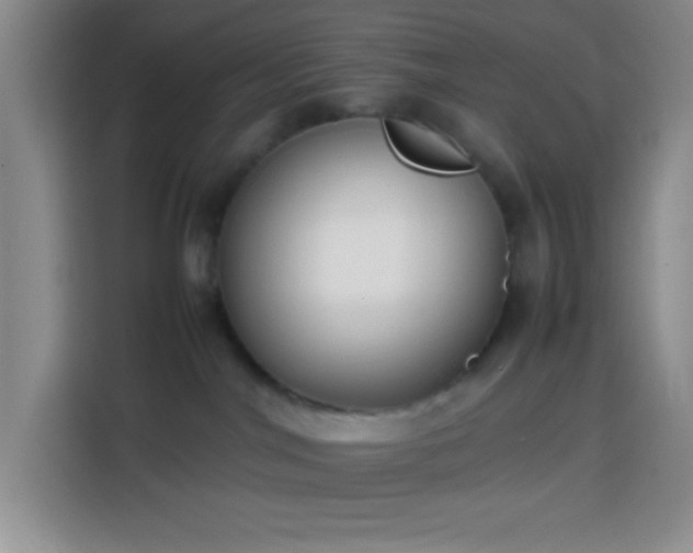 X0000113870044200910011121