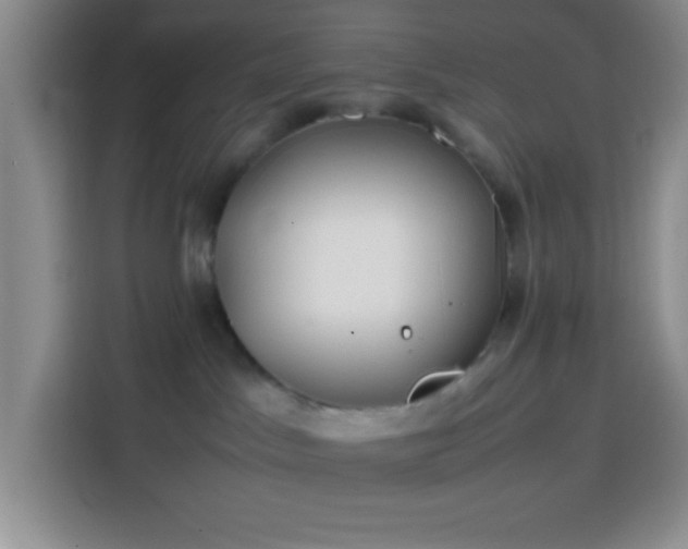 X0000113870045200910011121