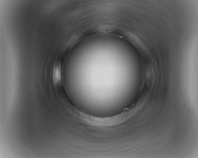 X0000113870046200910011121