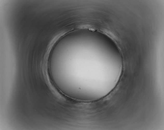 X0000113870049200910011120