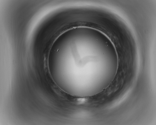 X0000113870050200910011120