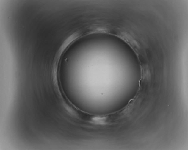 X0000113870051200910011120