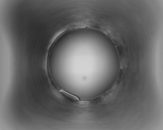 X0000113870052200910011120