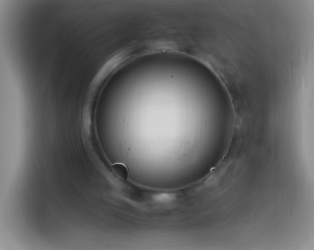 X0000113870053200910011120