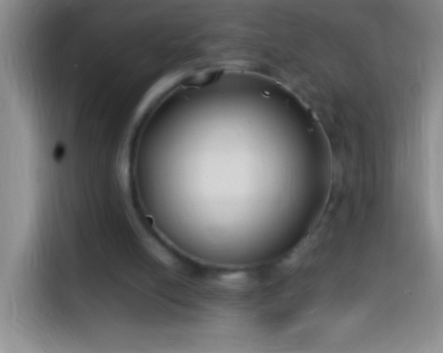 X0000113870054200910011120