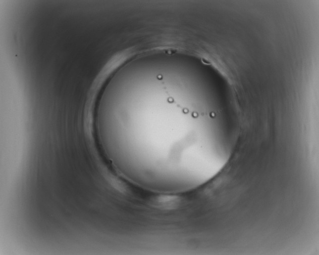 X0000113870055200910011120