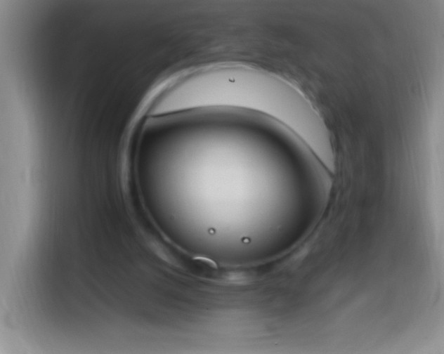 X0000113870056200910011120