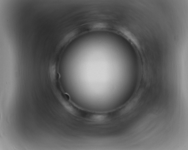 X0000113870057200910011120