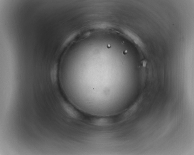 X0000113870058200910011120