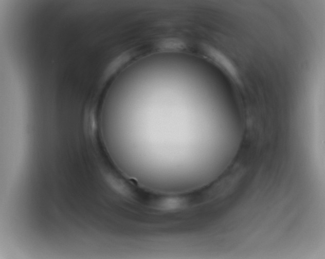 X0000113870059200910011120