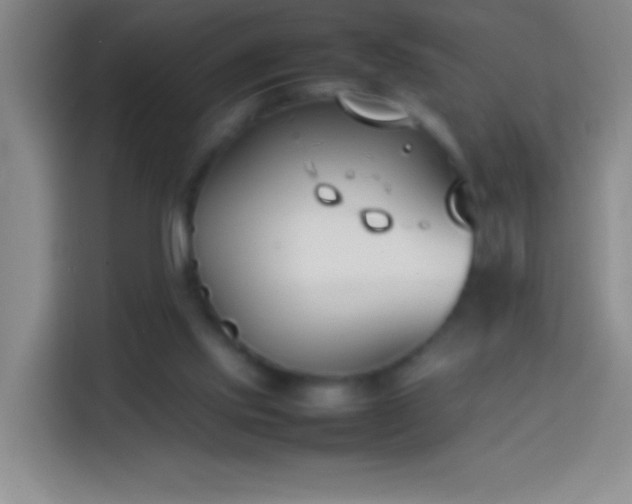 X0000113870061200910011120