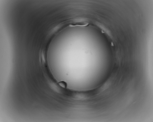 X0000113870062200910011120