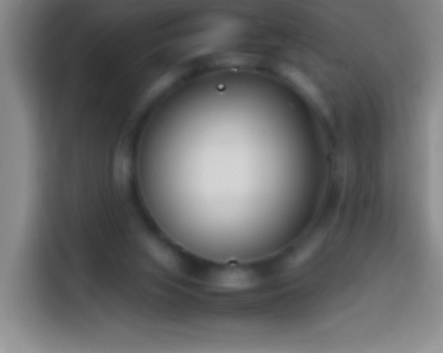 X0000113870063200910011120