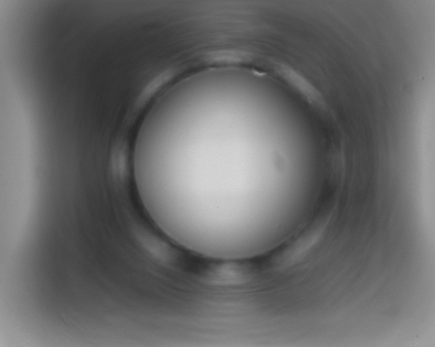 X0000113870064200910011120