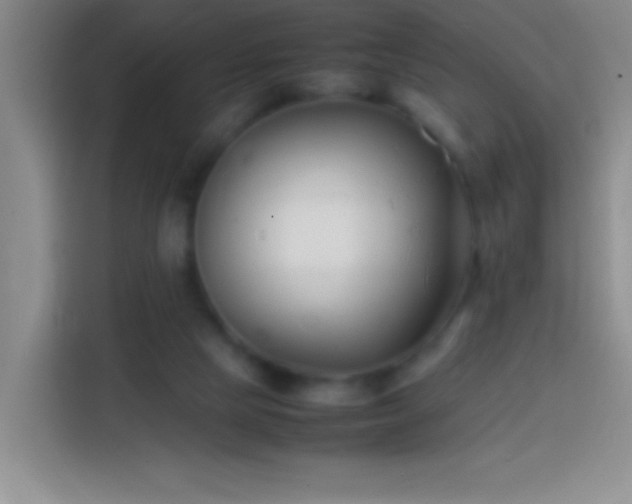 X0000113870065200910011120