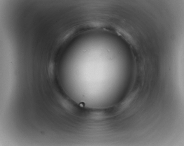 X0000113870066200910011120