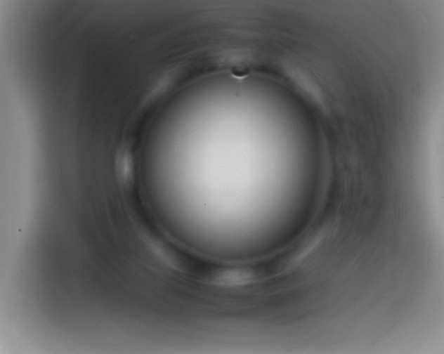 X0000113870067200910011120