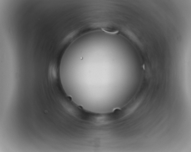 X0000113870068200910011120