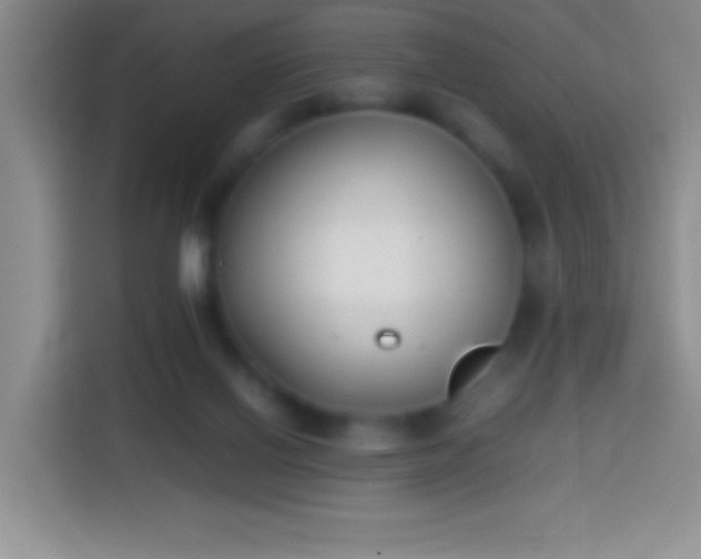 X0000113870070200910011120