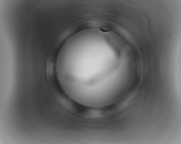 X0000113870071200910011120