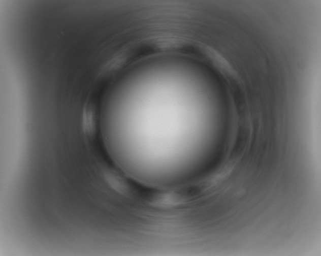 X0000113870074200910011121