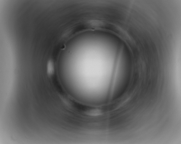 X0000113870075200910011121