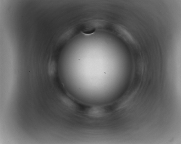 X0000113870077200910011121