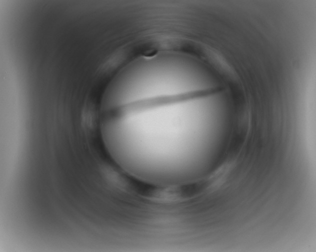 X0000113870078200910011121