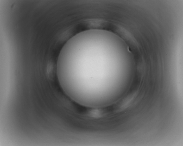 X0000113870079200910011121