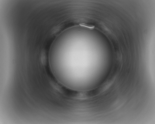 X0000113870080200910011121