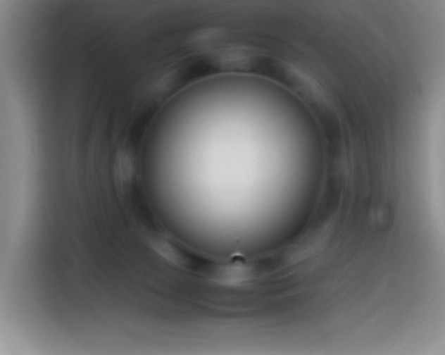 X0000113870081200910011121