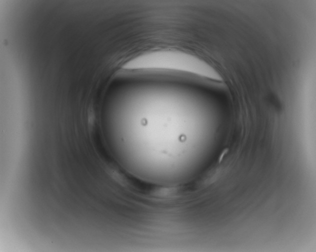 X0000113870084200910011121