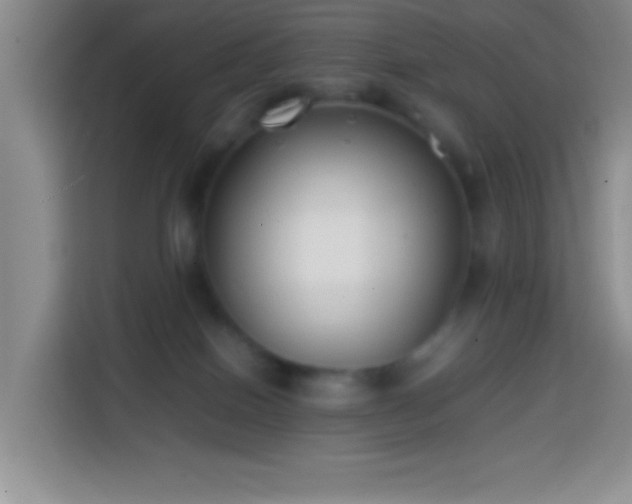 X0000113870086200910011121