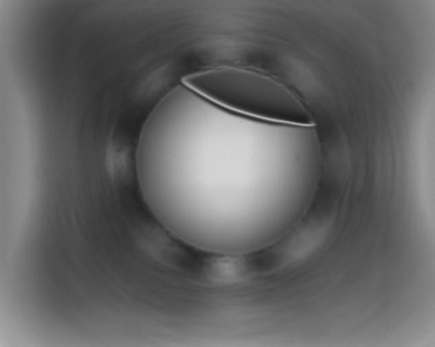 X0000113870088200910011121