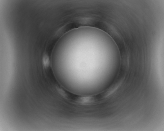 X0000113870089200910011121