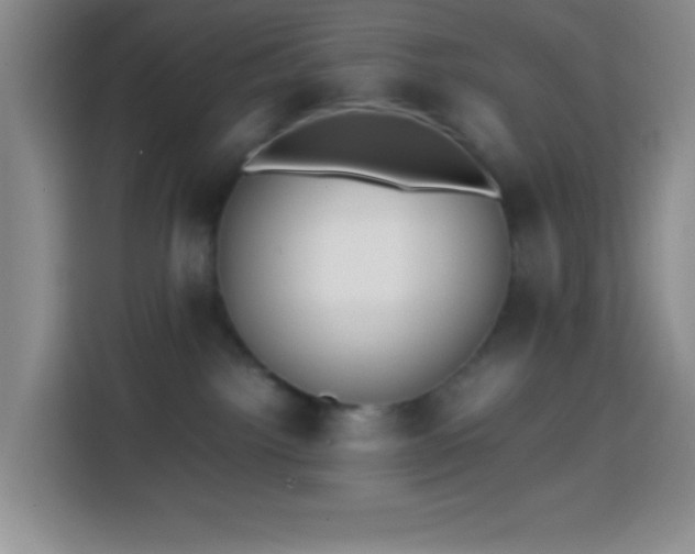 X0000113870092200910011121