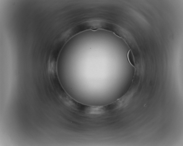 X0000113870093200910011121