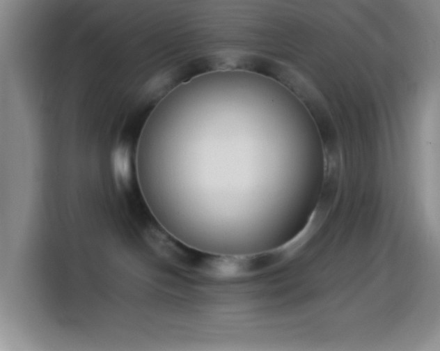 X0000113870094200910011121