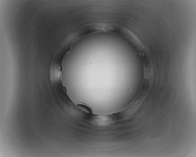 X0000113870095200910011121