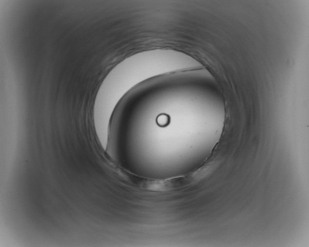 X0000113870096200910011121