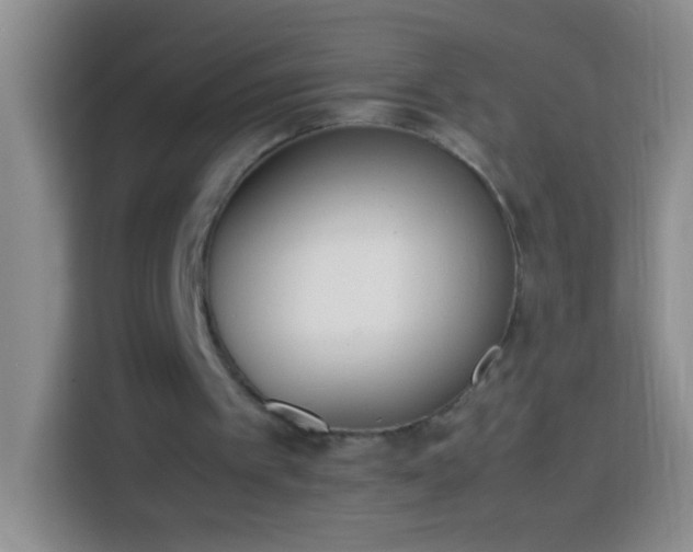 X0000113870097200910011120