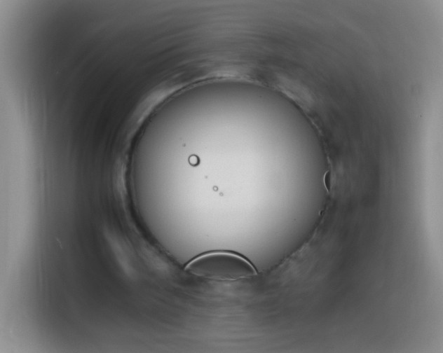 X0000113870098200910011120